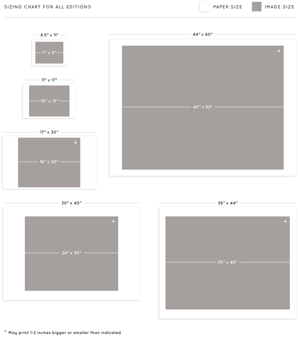 Size Chart — The Animal Print Shop